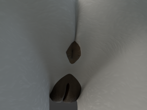 Sara Anthro Rabbit 3D 模型