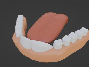 Sara Antro Coniglio Modello 3D