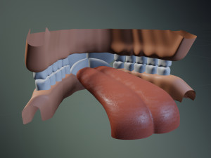 Sara Anthro Rabbit 3D 模型