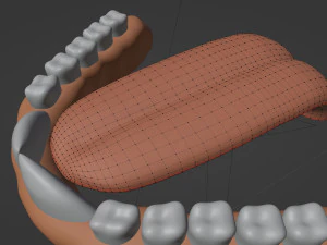 Sara Antro Coniglio Modello 3D