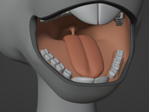 Sara Anthro Rabbit 3D 模型