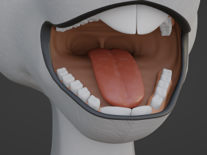Sara Anthro Rabbit 3D 模型