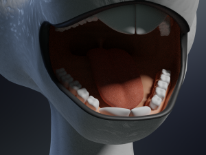 Sara Anthro Rabbit 3D 模型