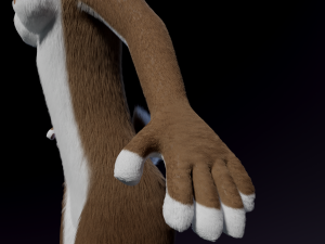 Carly Anthro Rabbit 3D मॉडल