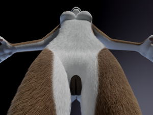 Carly Anthro Rabbit 3D मॉडल
