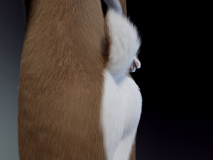 Carly Anthro Rabbit 3D मॉडल