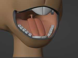 Carly Anthro Rabbit 3D मॉडल