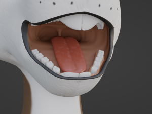 Carly Anthro Rabbit 3D मॉडल