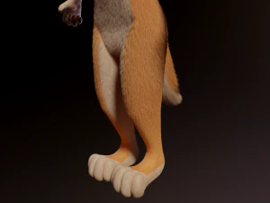 Dakota Anthro Fox 3D Model