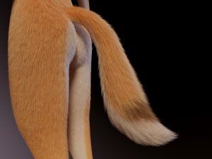 Dakota Anthro Fox Modelo 3D