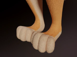 Dakota Anthro Fox 3D Model