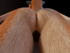 Dakota Anthro Fox 3D Model