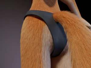 Dakota Anthro Fox 3D Model