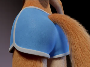 Dakota Anthro Fox 3D Model
