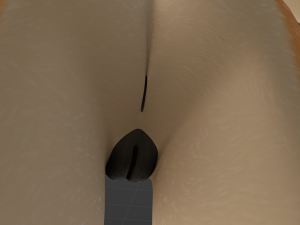 Dakota Anthro Fox Modelo 3D