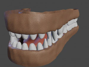 Dakota Anthro Fox 3D Model