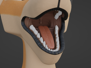 Dakota Anthro Fox Modelo 3D