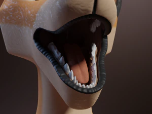 Dakota Anthro Fox 3D Model