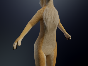 Jully Anthro Fox 3D Model