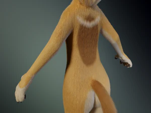 Jully Anthro Fox Modello 3D