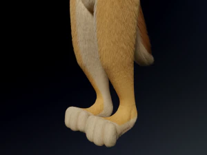 Jully Anthro Fox Modello 3D