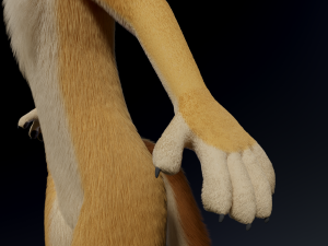Jully Anthro Fox 3D Model