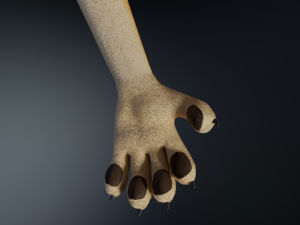 Jully Anthro Fox 3D Model