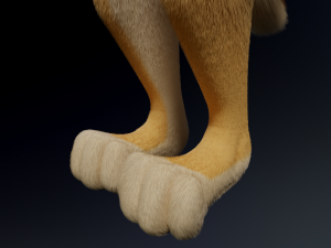 Jully Anthro Fox 3D Model