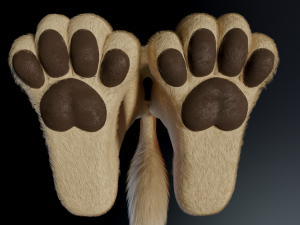 Jully Anthro Fox 3D Model