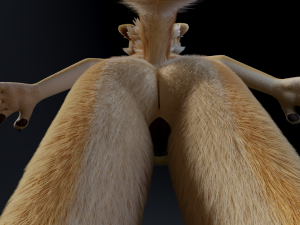 Jully Anthro Fox 3D Model