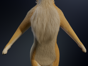 Jully Anthro Fox 3D Model