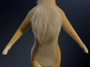Jully Anthro Fox Modello 3D