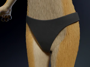 Jully Anthro Fox Modello 3D