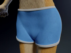 Jully Anthro Fox Modello 3D