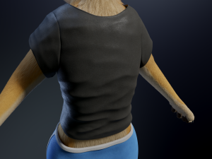 Jully Anthro Fox 3D Model