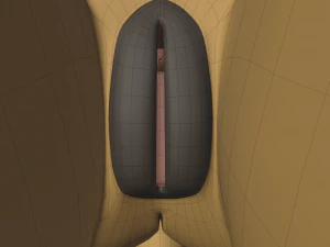 Jully Anthro Fox Modello 3D