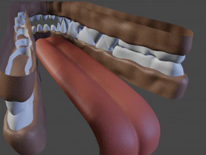 Jully Anthro Fox Modello 3D