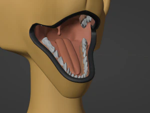 Jully Anthro Fox Modello 3D