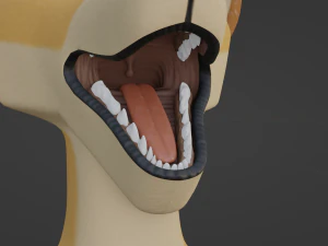 Jully Anthro Fox Modello 3D