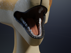 Jully Anthro Fox 3D Model