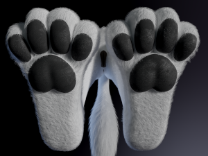 Sophia Anthro Arctic Fox Modelo 3D