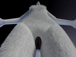 Sophia Anthro Arctic Fox Modelo 3D