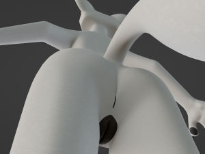 Sophia Anthro Arctic Fox Modelo 3D