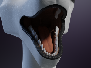 Sophia Anthro Arctic Fox Modelo 3D