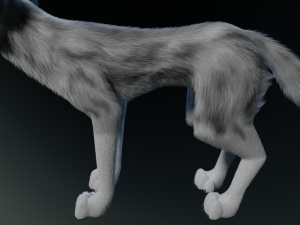 Kodai Wolf Modello 3D