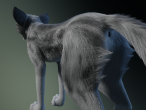 Kodai Wolf Modello 3D