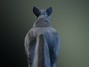 Kodai Wolf Modello 3D