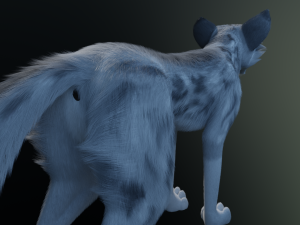 Kodai Wolf Modello 3D