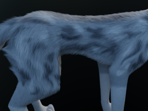 Kodai Wolf Modello 3D