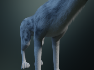 Kodai Wolf Modello 3D